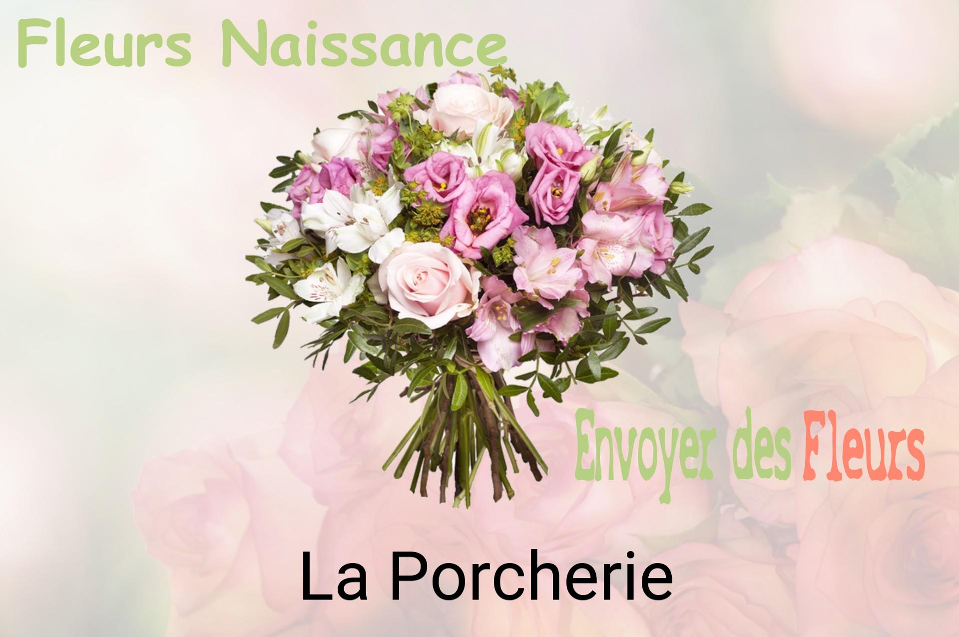 Bouquet de fleurs de naissance livré à La Porcherie